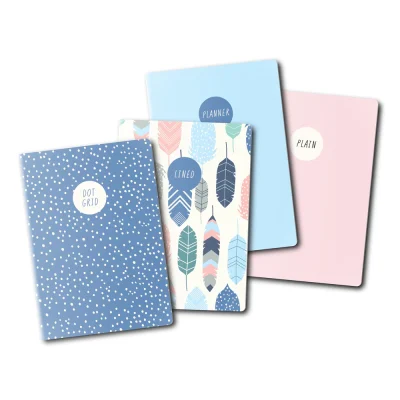 Carpe Diem - Feathers A6 4 Pack Notebooks (9368-CD)