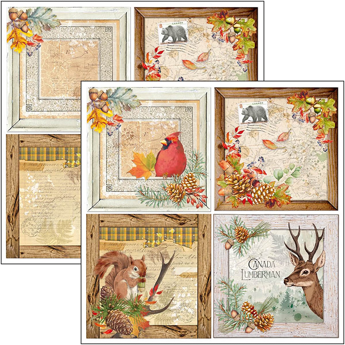 ciao-bella-into-the-wild-paper-pad-12x12-patterns-3 Ciao Bella - Into the Wild Paper Pad 12x12 Patterns (CBT067)