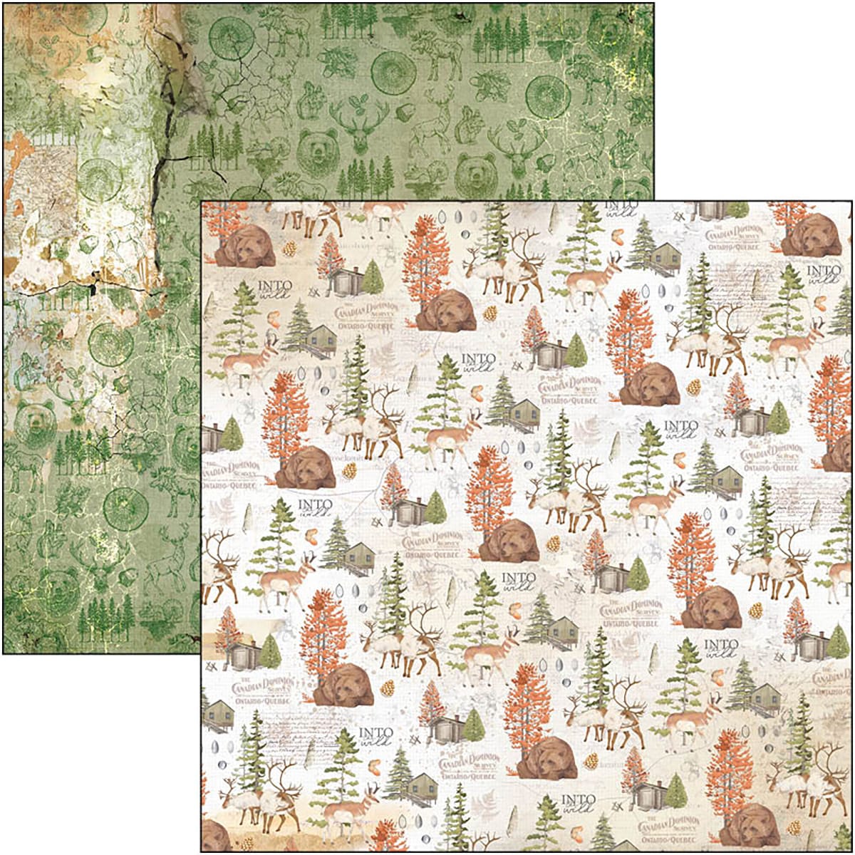 ciao-bella-into-the-wild-paper-pad-12x12-patterns-5 Ciao Bella - Into the Wild Paper Pad 12x12 Patterns (CBT067)