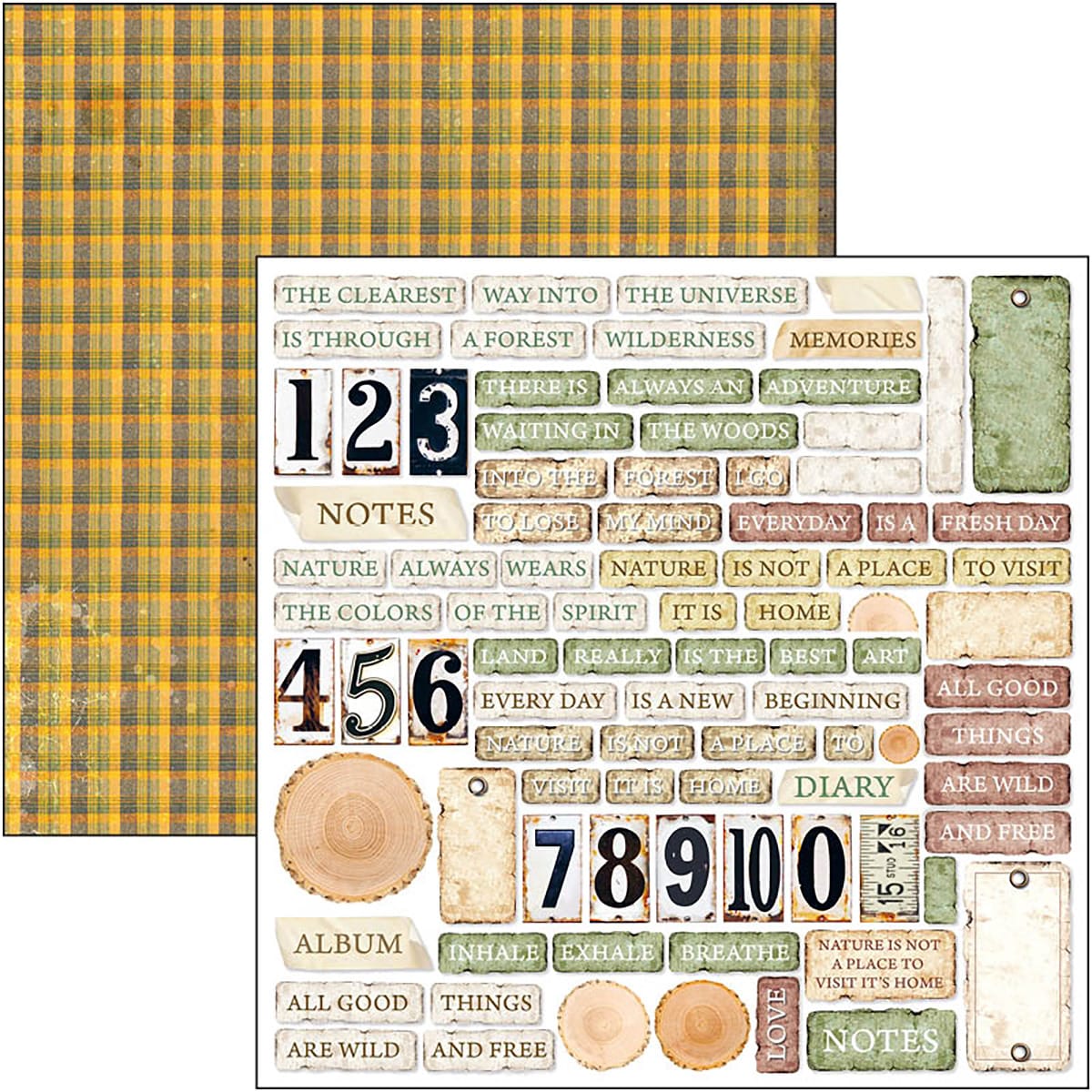 ciao-bella-into-the-wild-paper-pad-12x12-patterns-6 Ciao Bella - Into the Wild Paper Pad 12x12 Patterns (CBT067)