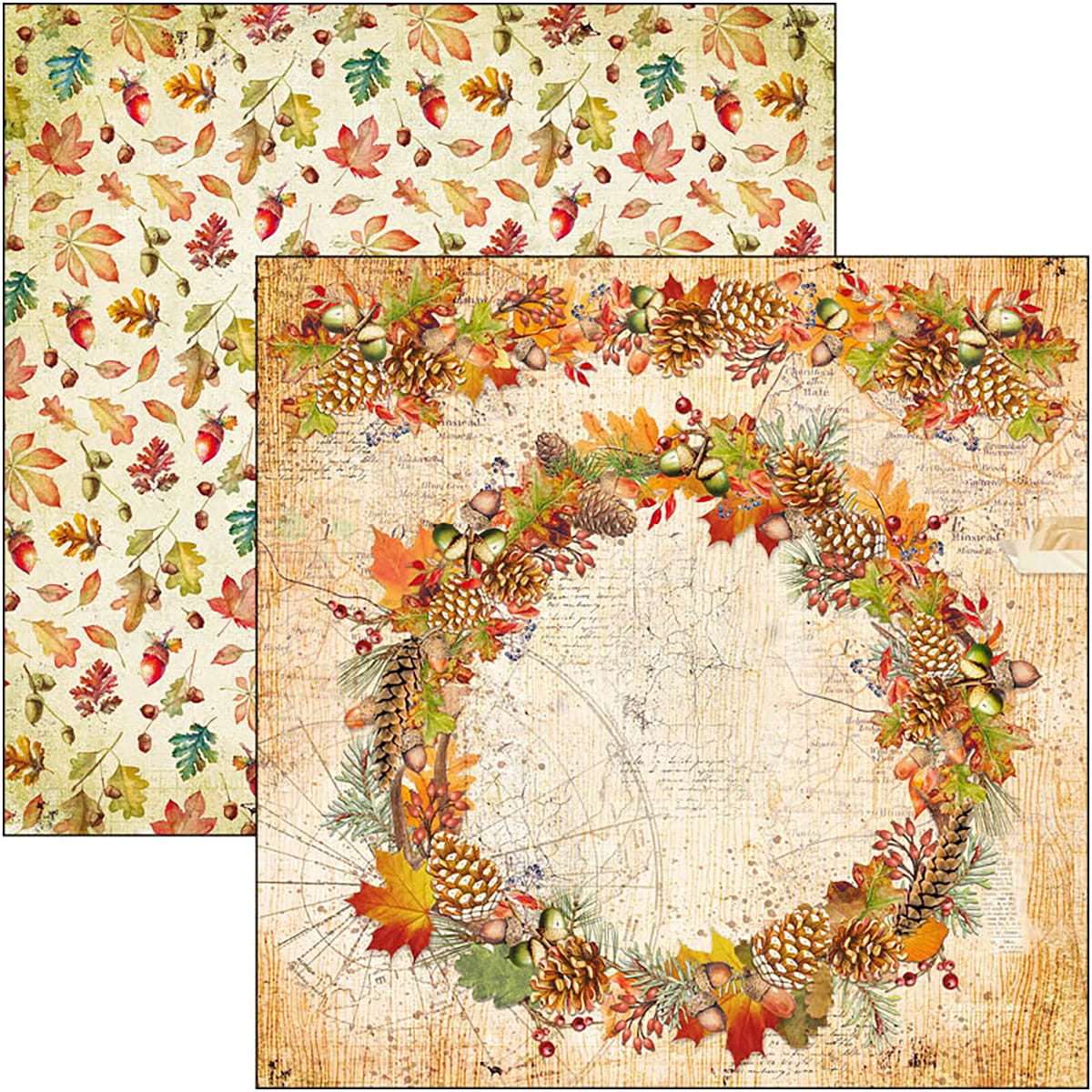 ciao-bella-into-the-wild-paper-pad-12x12-patterns-7 Ciao Bella - Into the Wild Paper Pad 12x12 Patterns (CBT067)
