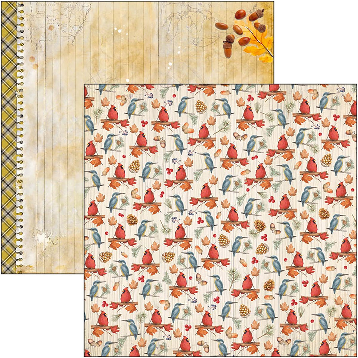 ciao-bella-into-the-wild-paper-pad-12x12-patterns-8 Ciao Bella - Into the Wild Paper Pad 12x12 Patterns (CBT067)