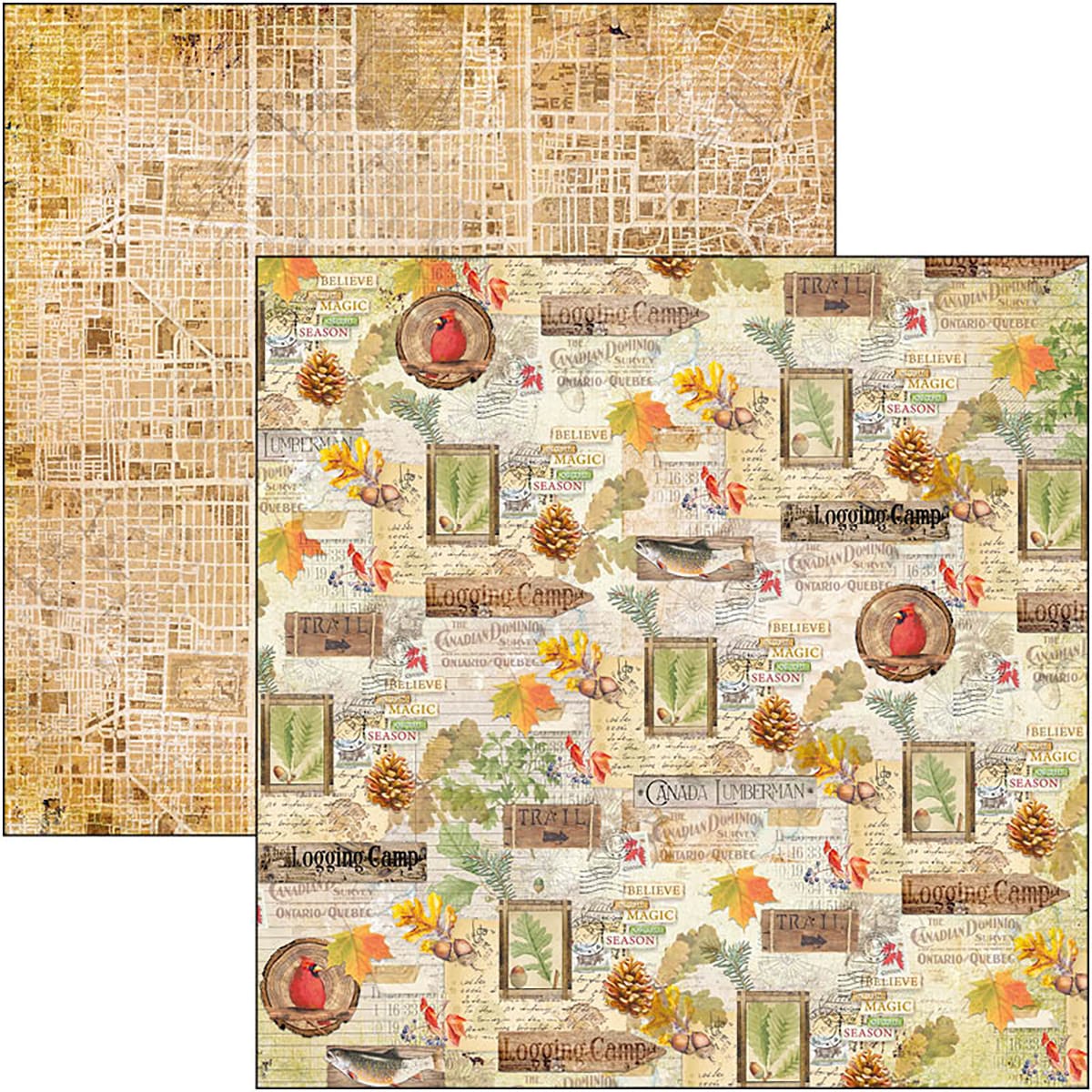 ciao-bella-into-the-wild-paper-pad-12x12-patterns-9 Ciao Bella - Into the Wild Paper Pad 12x12 Patterns (CBT067)
