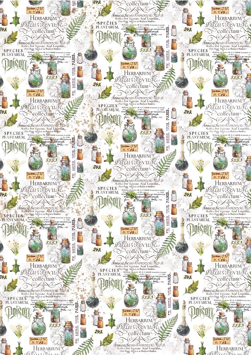 ciao-bella-wizard-academy-vellum-a4-patterns-3 Ciao Bella - Wizard Academy Vellum A4 Patterns (CBV010)