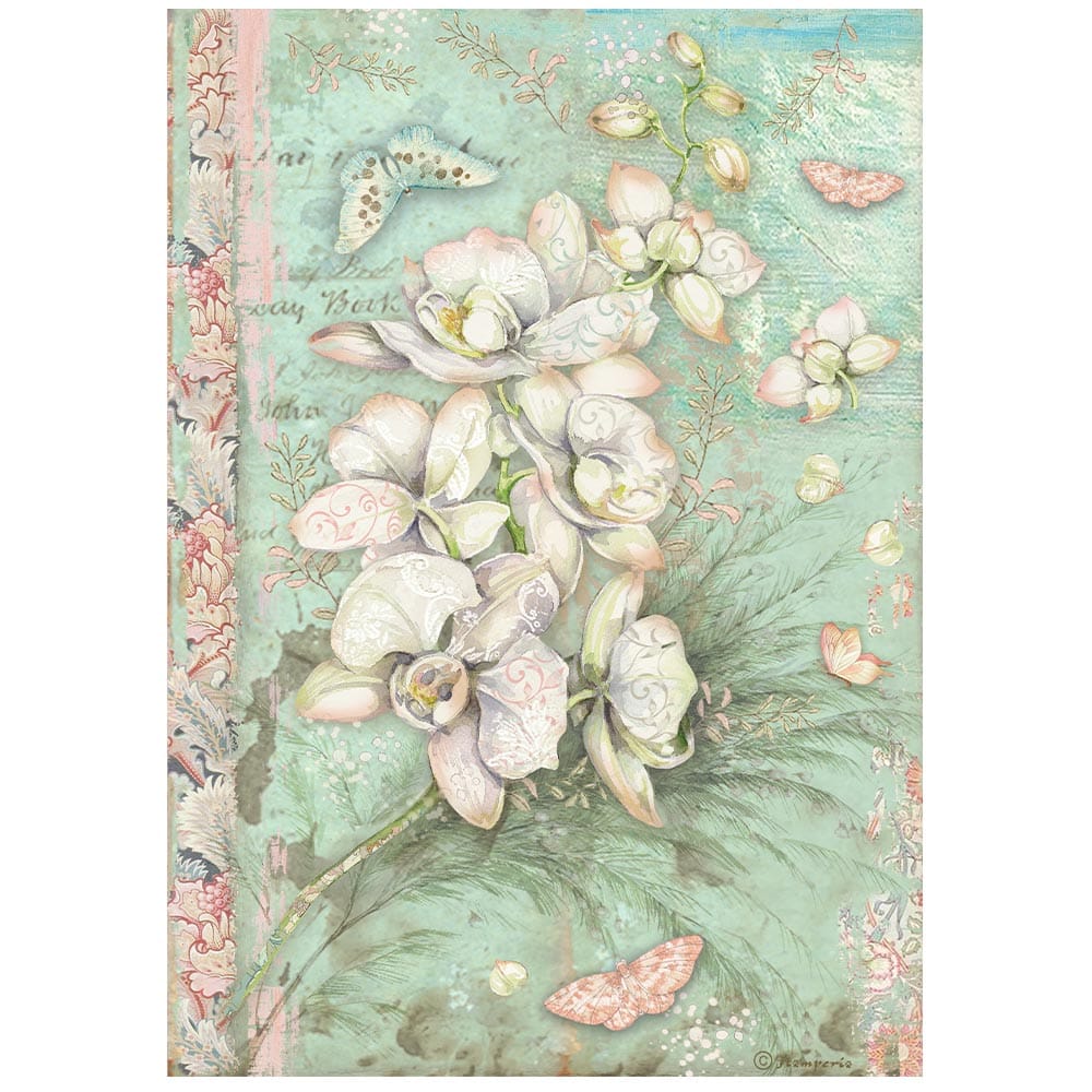 Stamperia - Orchids and Cats Rice Paper White Orchid (DFSA4848)