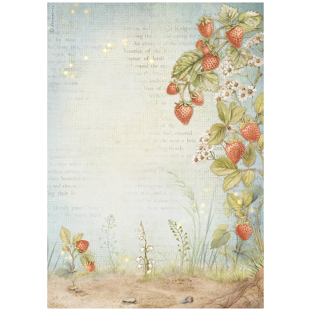 Stamperia - Hidden Grove Rice Paper Selection 6 Rice Paper A4 (DFSA4XHG)
