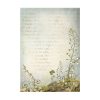 Stamperia - Hidden Grove Rice Paper Selection 8 Rice Paper Backgrounds A6 (DFSAK6038)