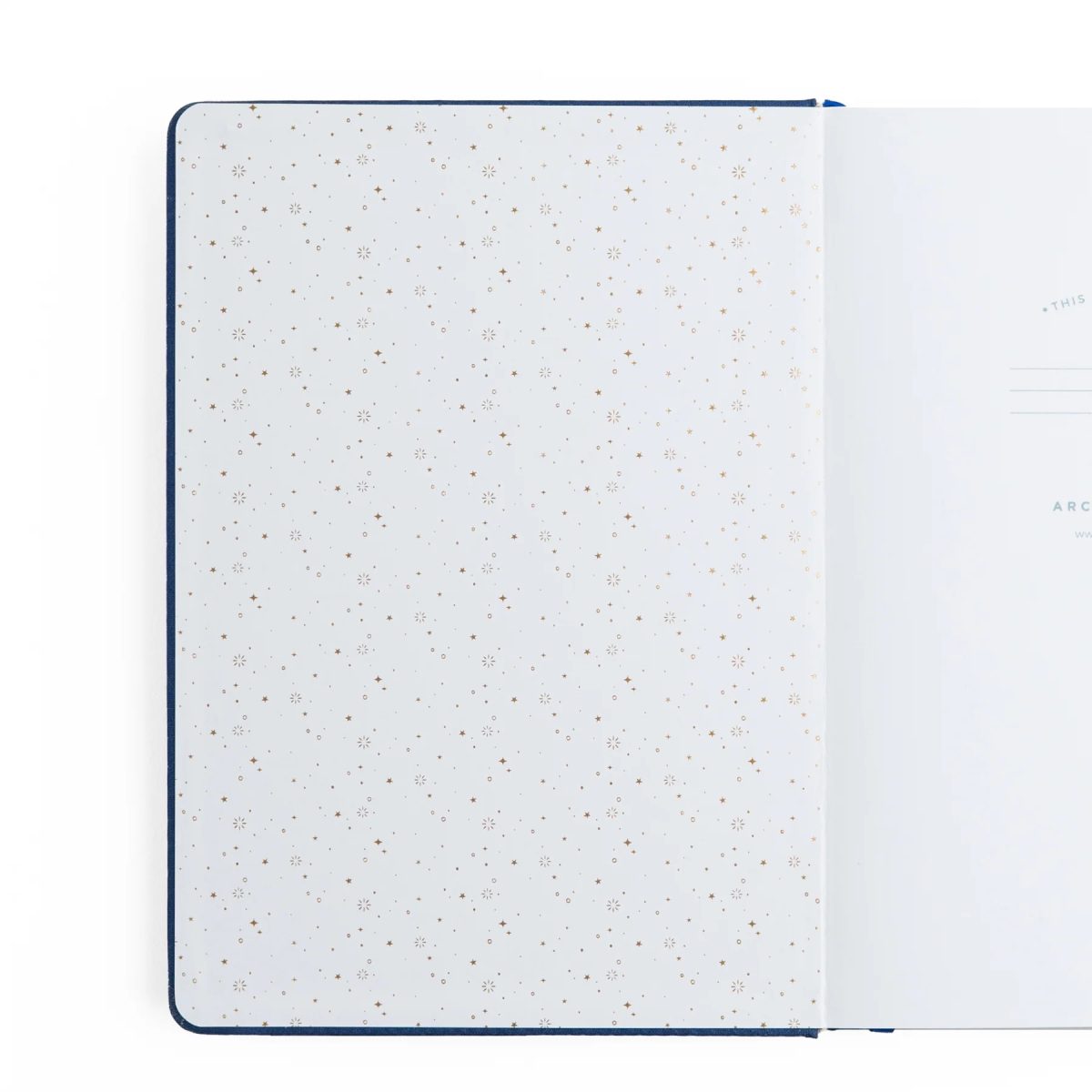 TN390-2 Archer & Olive - Bullet Journal Firefly Night Dot Grid Notebook Travelers (TN390)