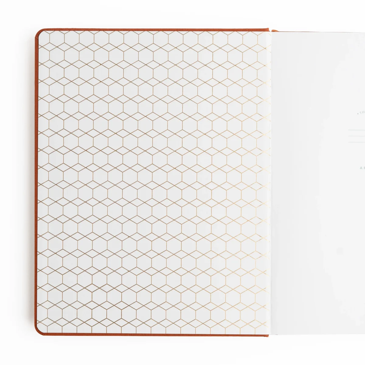 Archer & Olive - Everyday 2026 Keeper of the Bees in Rust Dot Grid B6 (B6407)